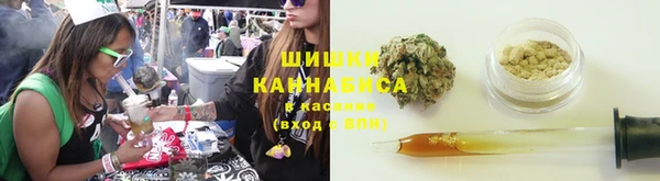 ешки Аркадак