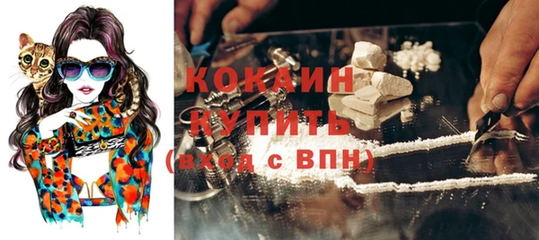 ешки Аркадак